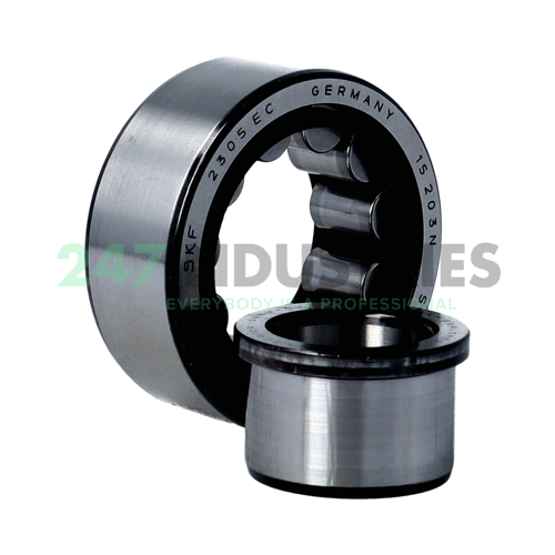 NJ2305ECP/C4 SKF Image 3