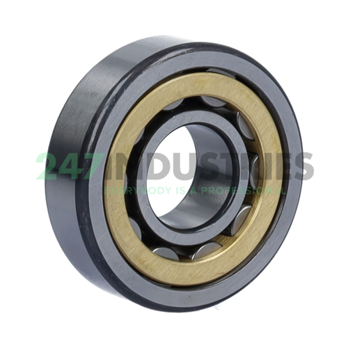 NU304-E-XL-M1-C3 FAG Image 2