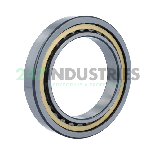 NU1020-XL-M1-C4 FAG Image 2