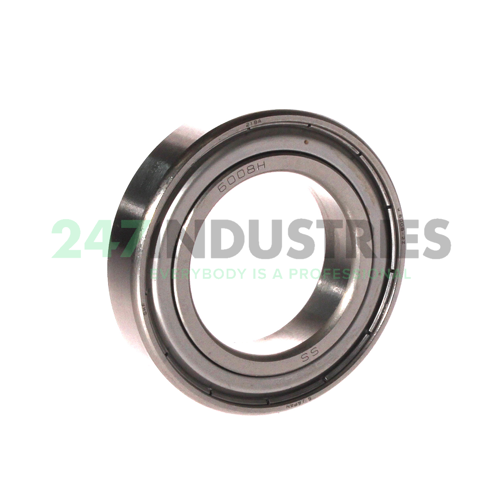 W6008-2Z SKF