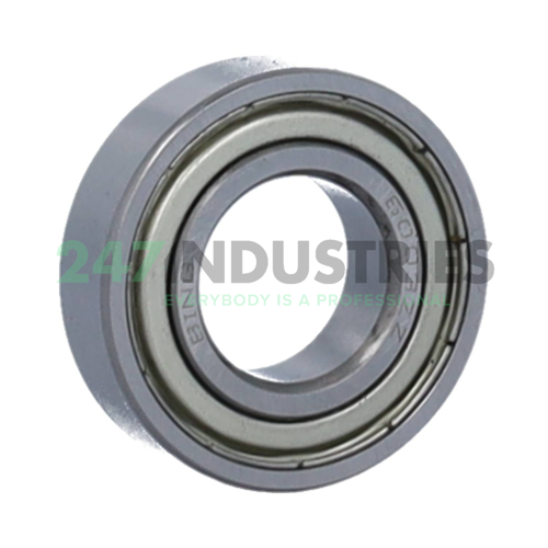 6003ZZ Bing Netherlands