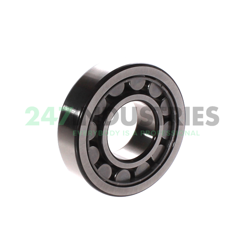 NU307ECJ SKF Image 2