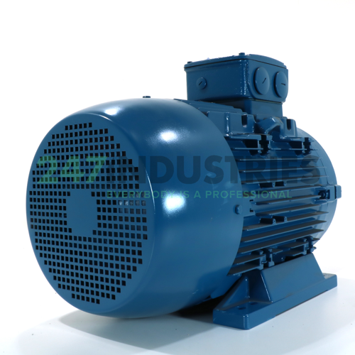 22K32AL3180M/L2B3 WEG Image 3