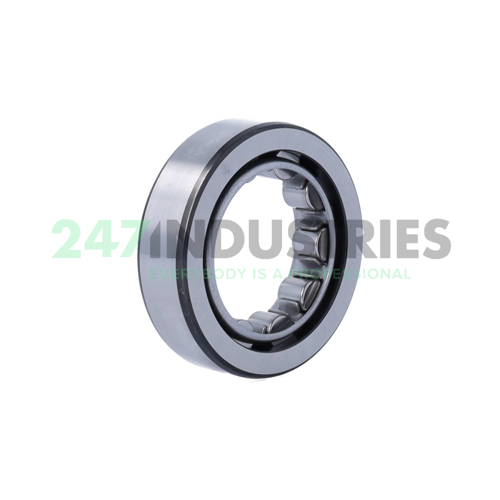 RNU305 SKF Image 2