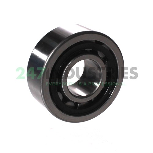 NU2305-E-TVP3-C3 NKE Image 2