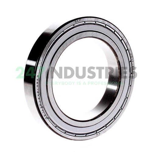 6019-2Z SKF