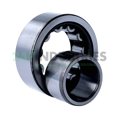 NU2309WC3 NSK Image 3