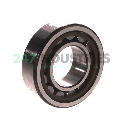 NU205ECP/C3 SKF Image 2