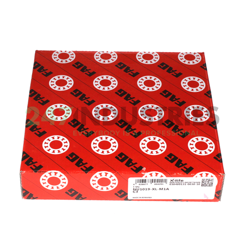 NU1019-XL-M1A-C3 FAG Image 3