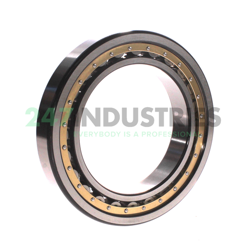 NU1021 NSK Image 2