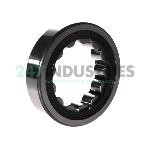 RNU313-E-XL-TVP2 FAG Image 2