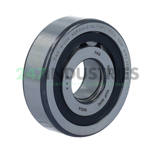 NUP303-E-XL-TVP2 FAG