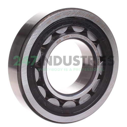 NJ313-E-XL-TVP2-C4 FAG