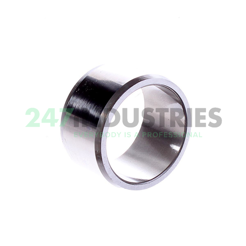 IR25X30X17 INA