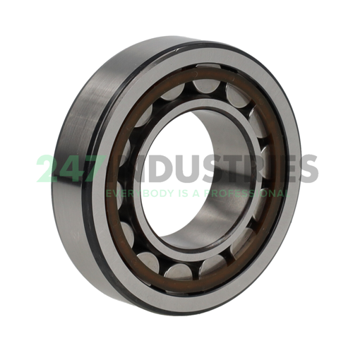 NU207ECKP/C3 SKF Image 2