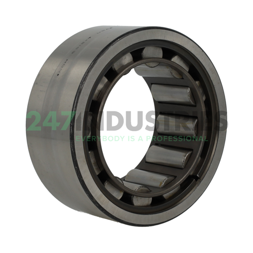 5313TS NDH New Departure Hyatt