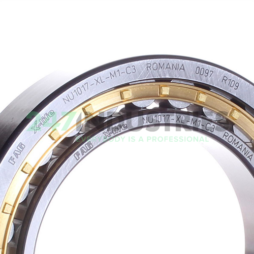 NU1017-XL-M1-C3 FAG Image 2