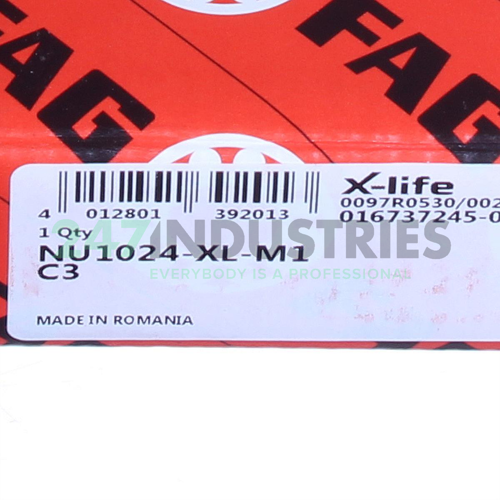 NU1024-XL-M1-C3 FAG Image 6