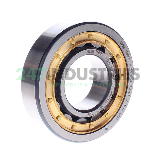 NJ309-E-XL-M1A-C3 FAG