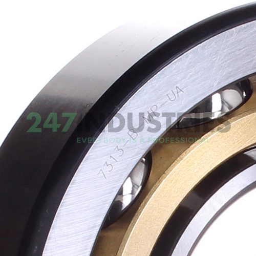 7313B.MP.UA FAG Image 2