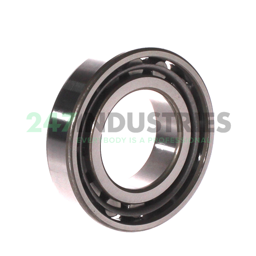 N209 NTN Image 2
