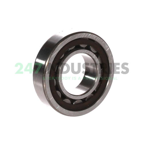 NU206ET C3 NSK Image 2