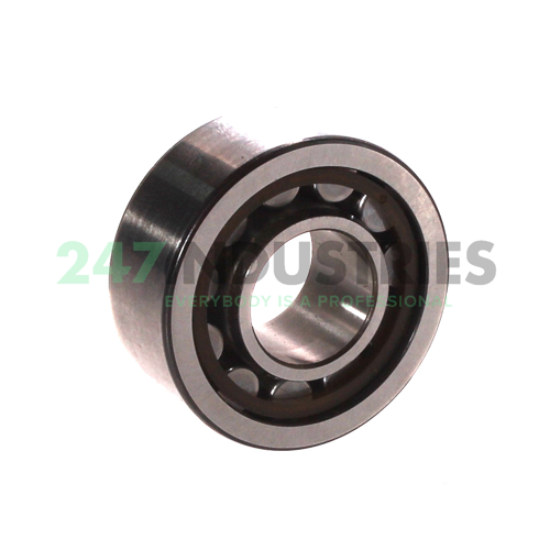 NU2203ECP SKF Image 2