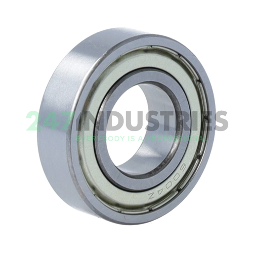 6004ZZ C2 FSY Image 2