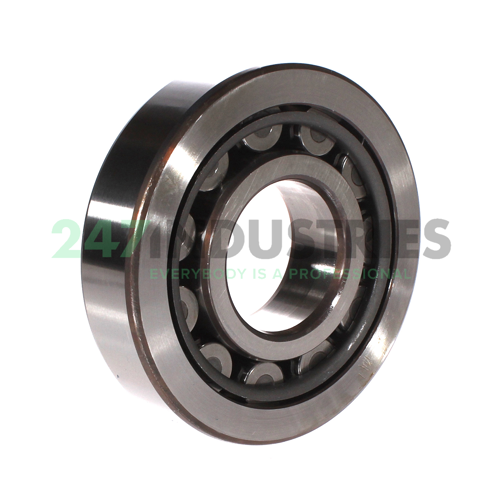 NJ411 SKF Image 2