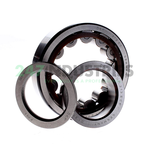 NUP313ECP SKF Image 2