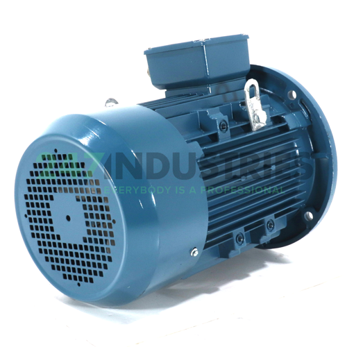 IE2-132S1-2B5 Guanglu Image 3