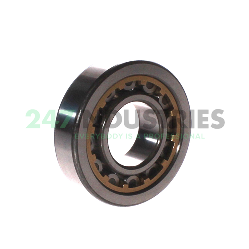 NU307G1C3 NTN Image 3