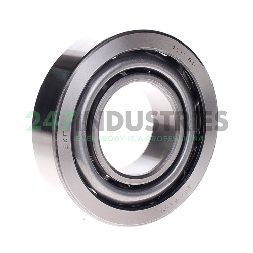 7313BG SKF