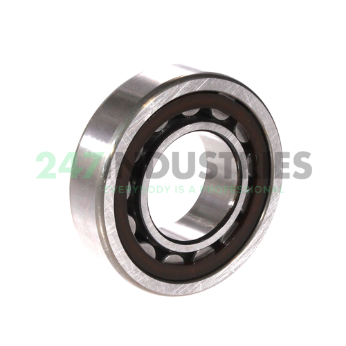 NU206ETC3 NSK Image 2