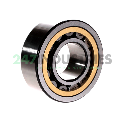 NJ2309ECML/C3 SKF Image 2