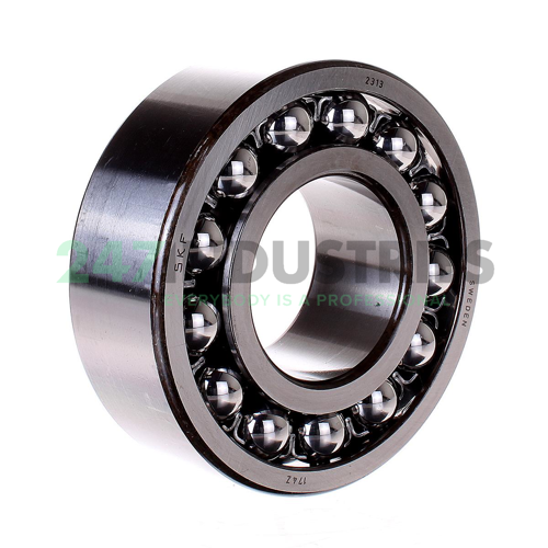 2313 SKF