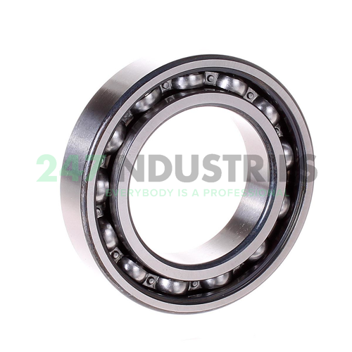 6009-RS1 SKF Image 2