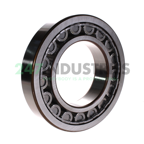 NU222ECJ SKF Image 3