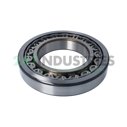 NU230ECJ SKF