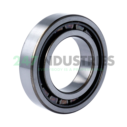NU210EW C3 NSK Image 2