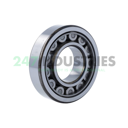 NU310EW C3 NSK Image 2