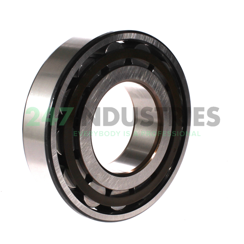 N316ECP/C3 SKF Image 2