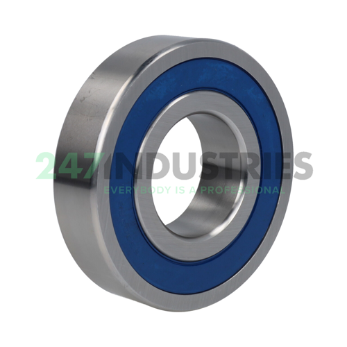 S6309 2RS Rollway Image 2