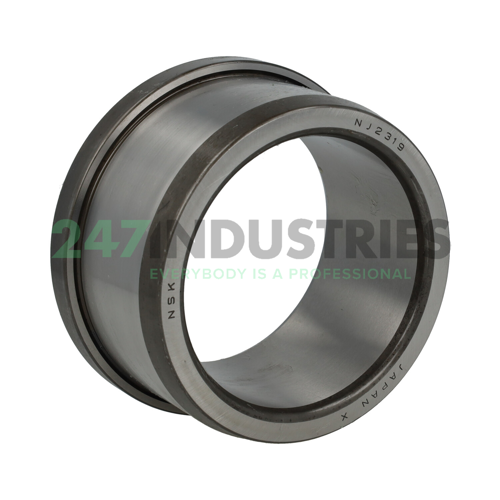 LNJ2319W NSK