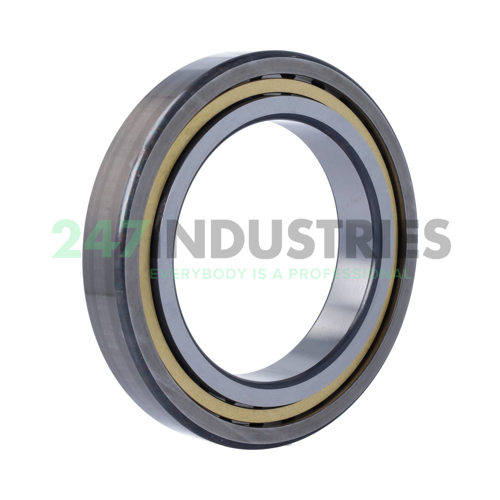 NJ1021-XL-M1-C3 FAG Image 2