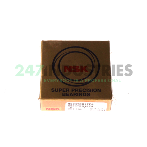 6004TCG12P4 NSK