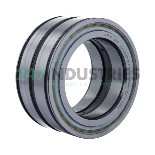 SL045017-D-PP INA