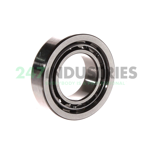 NU1005 SKF Image 2