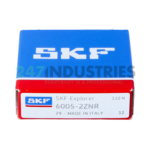 6005-2ZNR SKF Image 3
