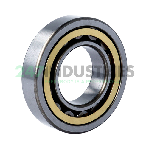 NU208EMC3 NSK Image 2